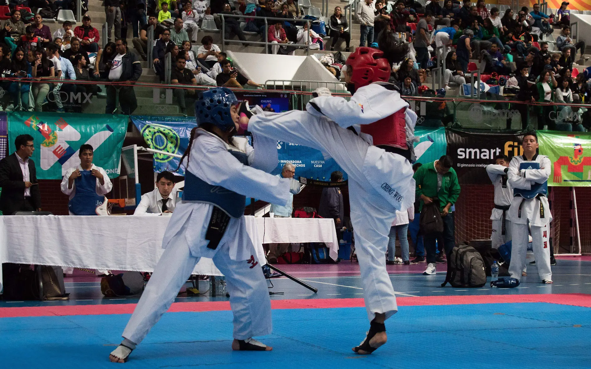 742715_Final Taekwando-2_impreso